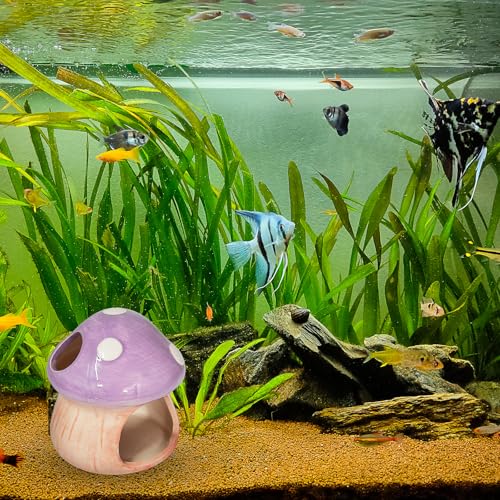 Ceramic Fish Tank Decor, Cute Mushroom House Aquarium Decorations, Betta Tank Accessory Hideout Caves Ornament for Small Fish Goldfish Shrimp Toad Reptiles (Purple)
