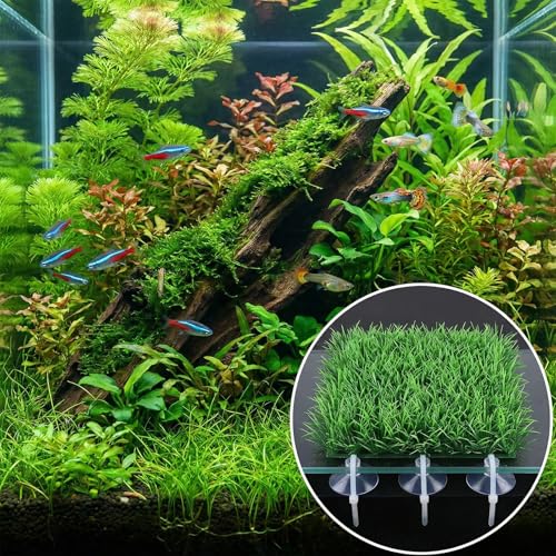 50 Pcs Suction Cup Clips,25mm Aquarium Suction Cups for Tubing,Aquarium Suctions Cup Clips and 50 PCS Adjustable for Air Tubes, Moss, Fish and Shrimp Nests, Plants