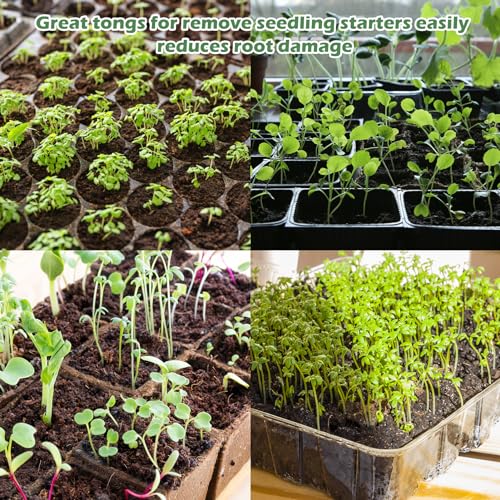 1PCS Seedling Transplant Tongs Stainless Steel Seedling Starters Remove Tongs Seedling Transplanting Tool Seedling Easy Transplanter with Anti-Slip Grasp Tips to Reduce Damage to Roots