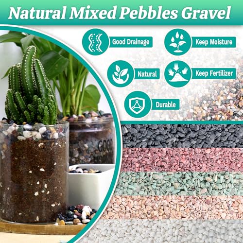 AVALUTION Aquarium Gravel for Plants -18lb Fish Tank Gravel for Succulent Cactus & Bonsai, 1/4Inch Decorative River Rocks Pebbles for Gardening, Flower Pots, Landscaping, Terrarium - color: Mix Gravel, size: 18LB