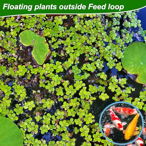 PEUTIER 5pcs Aquarium Floating Plant Rings, Foam Round Fish Feeding Rings 5 Size Floating Plant Corral Fish Tank Food Ring Keep Floating Plants in Place (Blue)