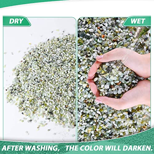 Succulent Rocks for Plants Tiny Pebbles for Planters 2.8LB Pea Gravel Bulk Course Sand Soil Small Decorative Stones for Indoor Bonsai Pots Cactus Top Dressing Aquarium Garden Landscape, Green
