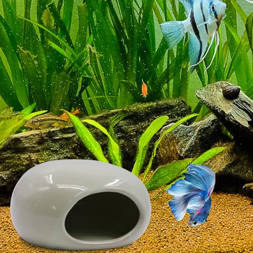 Saim Aquarium Ceramic Cave Decorations, Betta Fish Tank Accessories for Shrimp Cichlid Hiding Breeding Small Fish Bowl Hide Toys Hideout House - Light Green