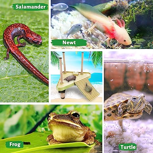 Keedolla Floating Turtle Pier and Basking Platform, Turtle Basking Platform Ramp Tortoise Reptile Floating Docks Climbing Ladder for Crabs, Frogs, Newts, Salamanders - Medium - size: Medium - 20 gallon or larger fish tank