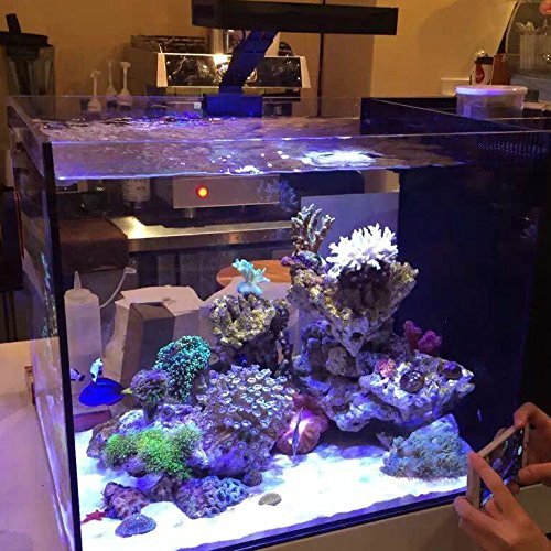 Aquarium Light –3rd Generation A029 Aquarium LED Light 30 Watts Saltwater Light with Touch Control, 5W LED Chips for Coral Reef Nano Fish Tank Marine Tanks with Timer & Screen - size: 30.0