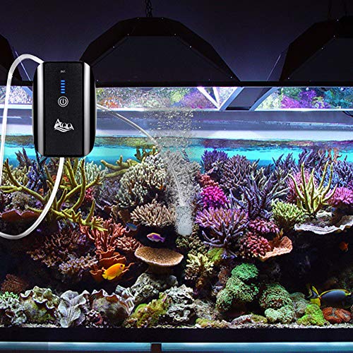 AQQA Aquarium Air Pump, Battery Rechargeable Portable Bubbles Oxygen Pump for Fresh & Saltwater Aquariums Tanks with Air Stone, Tube, USB Cable and Adapter (1.7 W for 1-100Gal Tank) - size: 1.7 W for 1-100Gal tank