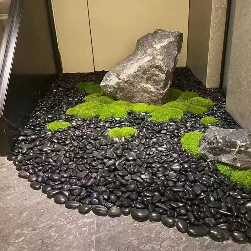 SOUJOY 15LBS Black River Rock, 1-2 Inch Pebbles for Plants, Natural Polished Decorative Stone for Landscaping Outdoor, Flower Bed Fish Tank Gravel Garden Home Decor