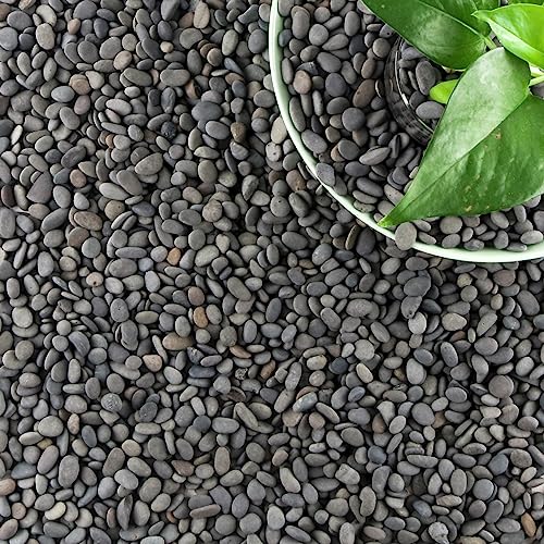 18lb Small Smooth River Rocks Pebbles for Plants & Succulents, Decorative Outdoor Landscaping Garden Rocks, Natural Mexican Beach Pebbles, Gravel for Aquarium, Fish Tanks, Vase and Yard Decor - size: 18LB, style: Small