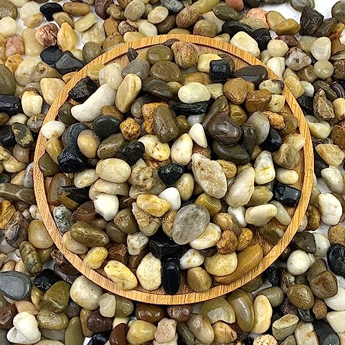 FANTIAN 2 lbs Aquarium Gravel, 2/5 inch Pea Gravel for Fish Tank, Decorative Pebbles River Rocks for Plants Succulent Vase Indoor Water Fountains and Outdoor Landscaping - size: 2/5 Inch
