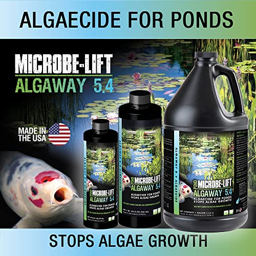 MICROBE-LIFT ALGA08 Algaway 5.4 Algae Control Treatment for Ponds and Water Gardens, Safe for Koi Fish, Goldfish, Plants, and Decorations, 8 Ounces - size: 8 Ounces