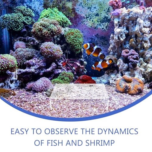 NUOBESTY Aquarium Shrimp Hideout Shelter Multiple Holes Plastic Fish Tank Decoration Breeding Cave for Shrimp and Small Fish Habitat