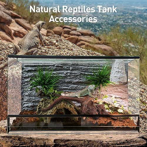 Natural Driftwood for Aquarium Decor, 10-Piece 2''-5'' Small Driftwood for Decorations on Fish Tank, Reptiles Bearded Dragon Accessories or Air Plants
