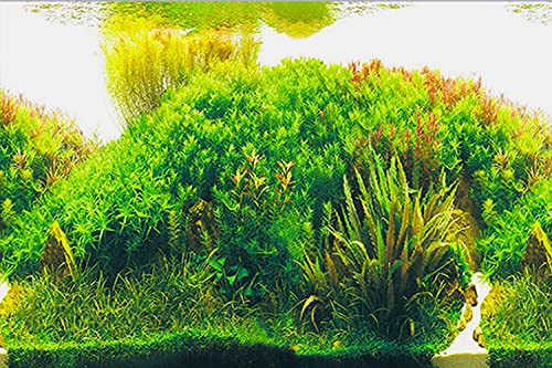 ELEBOX Fish Tank Stickers Wallpaper Seaweed Background Aquarium Background Decoration Water Plants Fish Tank Background 15.7"x 40" - color: Type E