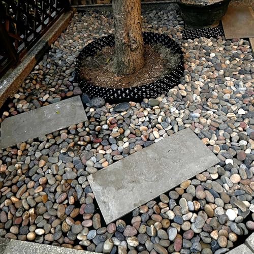 FANTIAN 20 lbs River Rocks for Plants, 1-2 Inch Decorative Pebbles Stones for Landscaping Garden Painting Crafting Walkways and Outdoor Yard - color: Mixed, size: 20 lbs, 1-2 Inch