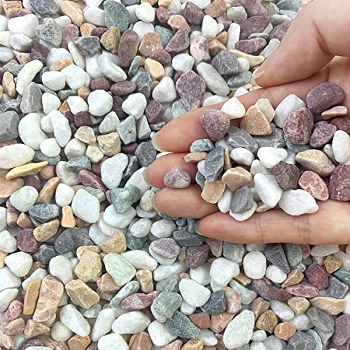 FANTIAN 2 lbs Natural Mixed Color Pea Gravel Pebbles, 3/8 inch Decorative Rocks for Succulents, Pebbles for Indoor Plants, Vases, Aquarium Gravel, Top Dressing, Outdoor Decorative Stones - color: Colorful Gravel