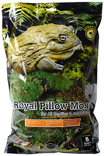 Galápagos (05254) Royal Clumps of Real Pillow, Natural, 8 quart