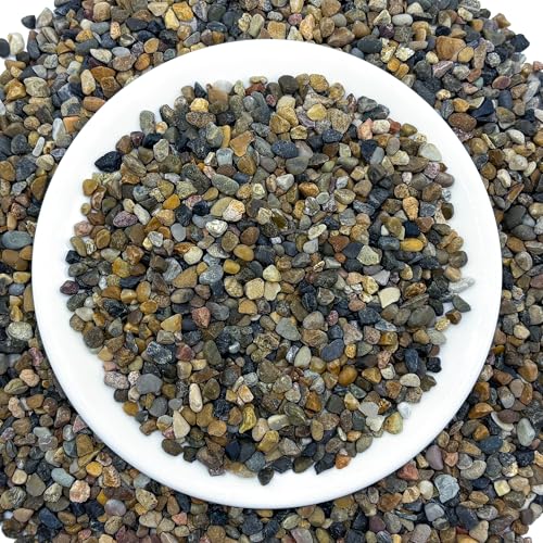 SIDONG 10LB Natural Aquarium Gravel, Small River Rocks for Fish Tank, Garden & Vase Decor - 1/16 Inch Pea Gravel, 2-4mm Polished Stones for Landscaping, Potted Plants, Terrarium - color: 10lb, size: 2-4mm