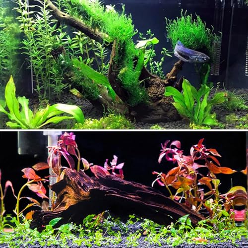 kathson 2 PCS Large Aquarium Driftwood, 7.5''-12''Natural Fish Tank Driftwood Assorted Branches Reptiles Drift Wood Decor Aquarium Wood Aquascaping Terrarium Ornament Habitat Accessories - size: 2Pcs: 7.5-12in