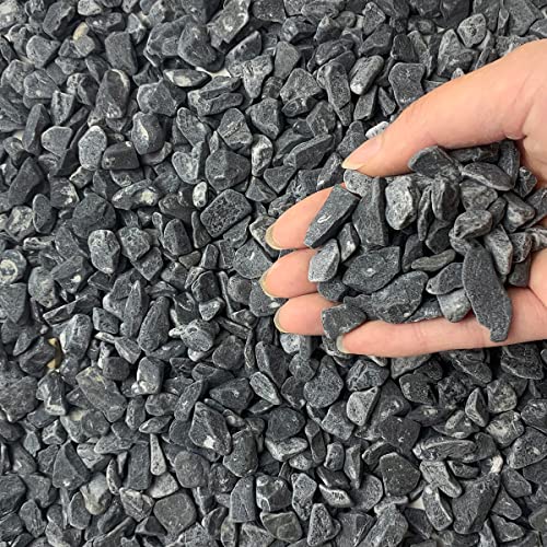 FANTIAN 2lbs Black Gravel, 3/8 Inch Black Stones. Decorative Black Rocks for Succulent Plants, Vase, Cactus, Bamboo Plants and Outdoor Garden Landscaping - color: Black Gravel