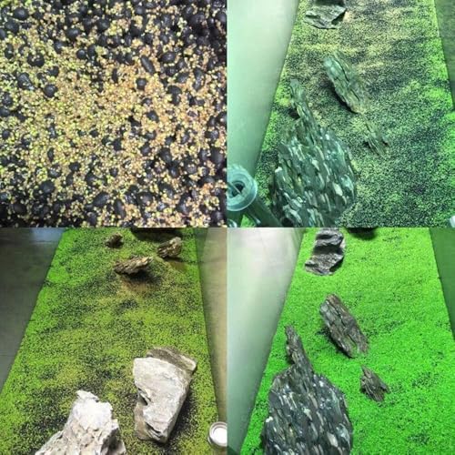 Freshwater Aquarium Decor, Easy Growing Dwarf Carpet for Fish Tank/Terrarium, Natural Aquatic Plant Growth Material – 1 Pack (Big Leaf)