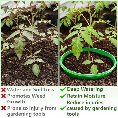 EBaokuup 6 Pcs 10 Inch Planting Grow Rings-Planting Protective Round Edging to Separate Rock and Pest-Planting Rings for Vegetables, Herbs and Flowers - color: 10 Inch