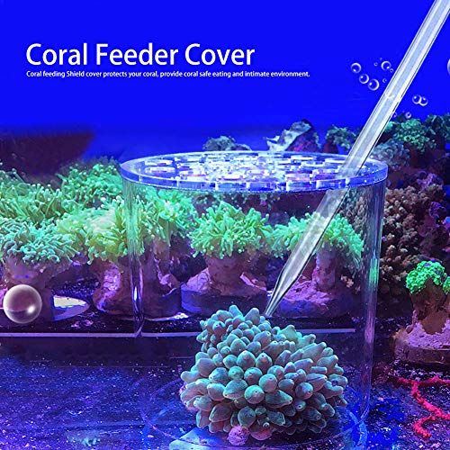 Transparent Coral Feeding Breeding Protection Cover, Acrylic Transparent Coral Feeder Cover Anti-Feeding Shrimp for Aquarium Fish Tank (150mm)