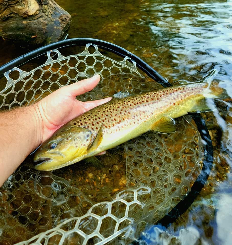 Aventik Fly Floating Fishing Net Carbon Fiber Landing Trout Net Light Weight Clear Rubber Ghost Net Catch & Release - color: Long handle green with magnetic release