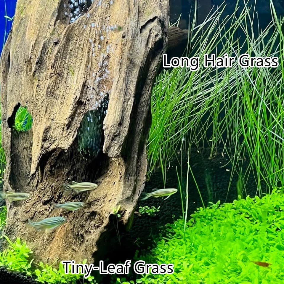 3 Aquarium Plants Set, (0.36ozTiny+0.36oz Long+0.36oz Short) Fresh Water Replacement for artificial, not Plastic, 3 types (0.36ozTiny+0.36oz Long+0.36oz Short) 28ABC, Green