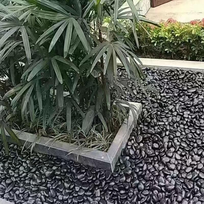 SOUJOY 15LBS Black River Rock, 1-2 Inch Pebbles for Plants, Natural Polished Decorative Stone for Landscaping Outdoor, Flower Bed Fish Tank Gravel Garden Home Decor