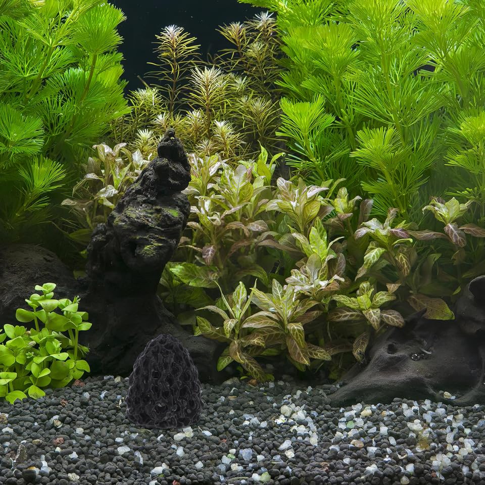 Garneck Shrimp Hide Aquarium Cave: Black Dome Shelter with Suction Cup Betta Fish Hideout Tunnel Tank Decor Ornament for Freshwater Habitat Guppy Snail Crawfish Plants Moss - color: Black