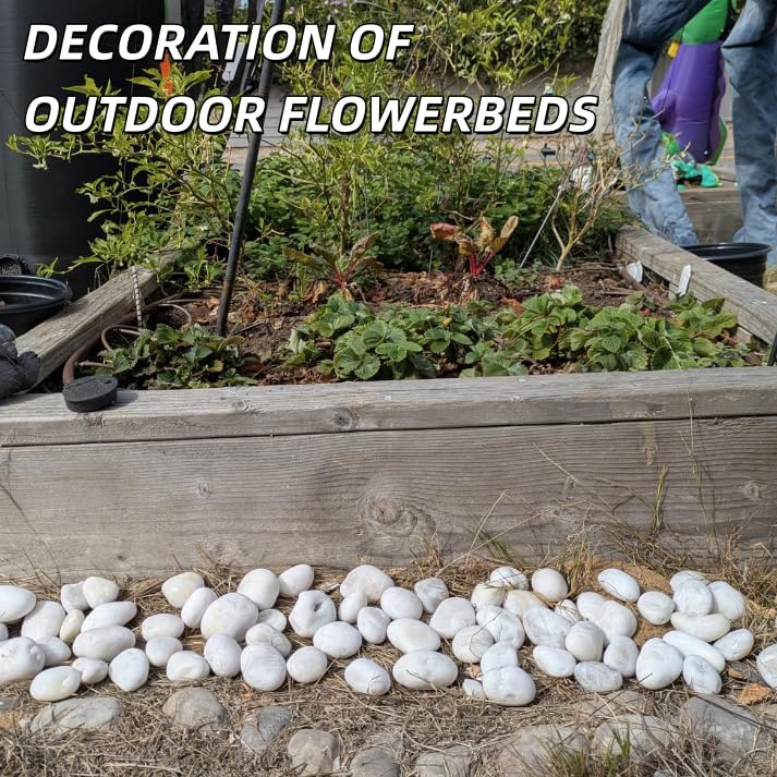 18lb White River Rocks for Plants, 1-3 Inch Pebbles for Indoor Plants, Polished Garden Rocks Outdoor Landscaping, Decorative Stones for Vases, Succulents, Aquarium, Walkways