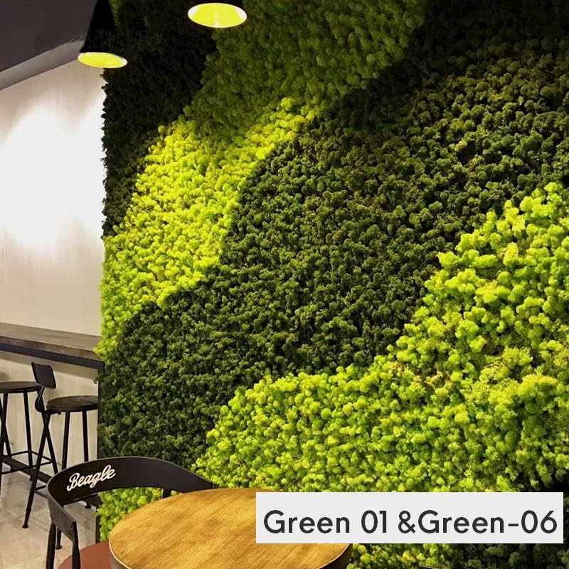 Preserved Reindeer Moss Natural Green DIY Kit Gardenning Art Wall Decor Florist Decor Easter Table Decor Wedding - color: Green-06, size: 0.85 lb