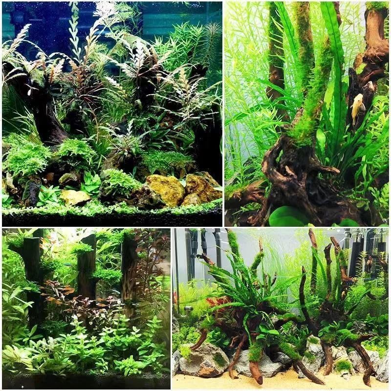 1Pc Natural Aquarium Driftwood Branches Wood Aquarium Trunk Driftwood Tree Fish Tank Log Decoration Plant Stump, Aquarium Decoration Wood Aquarium Thematic Ornaments Aquarium Accessories (8-10cm)