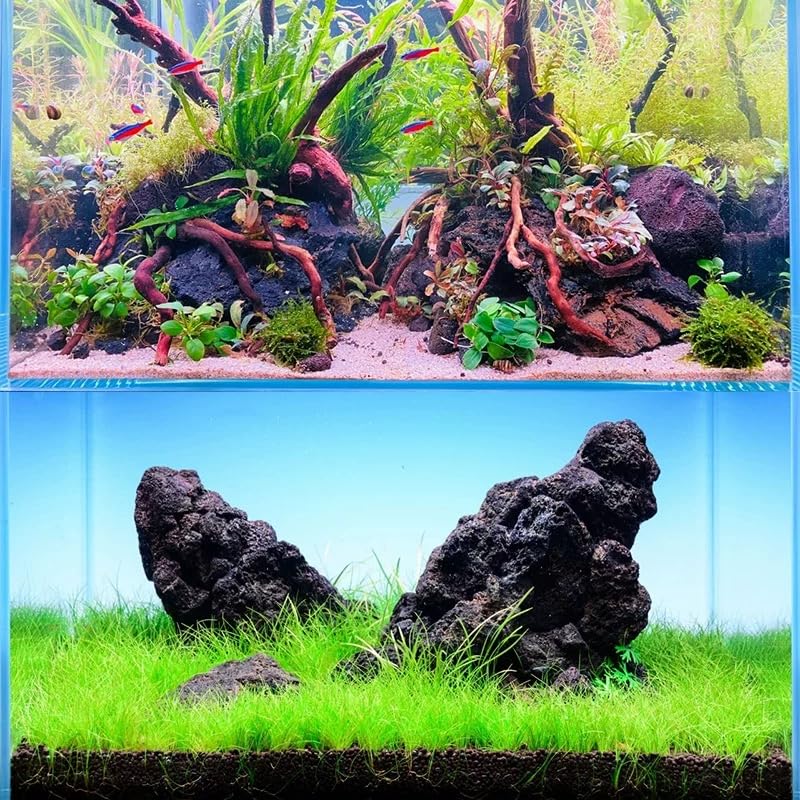 Black Lava Rocks 20lb Natural Volcanic Stones for Aquarium Fire Pit Bonsai Succulent Planters Terrarium Paludarium Garden Landscaping Decor,7-8 Pcs 4-9 inches - size: 20LB(7-8pcs)4-9in.