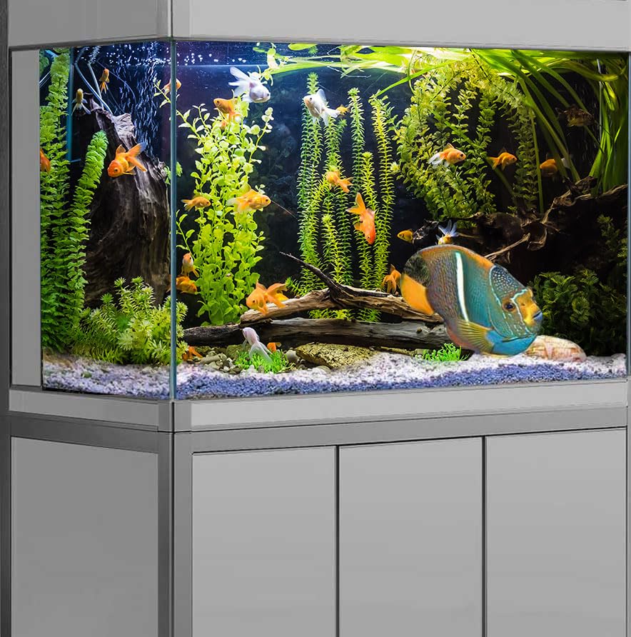 Aquarium Background, River Bed & Lake Tropical Undersea Tree Branch Aquatic Plant Fish Tank Background, 6 EVA Double-Sided Tapes 48x24 inches/120x60 - color: orange, size: 48"L x 24"W