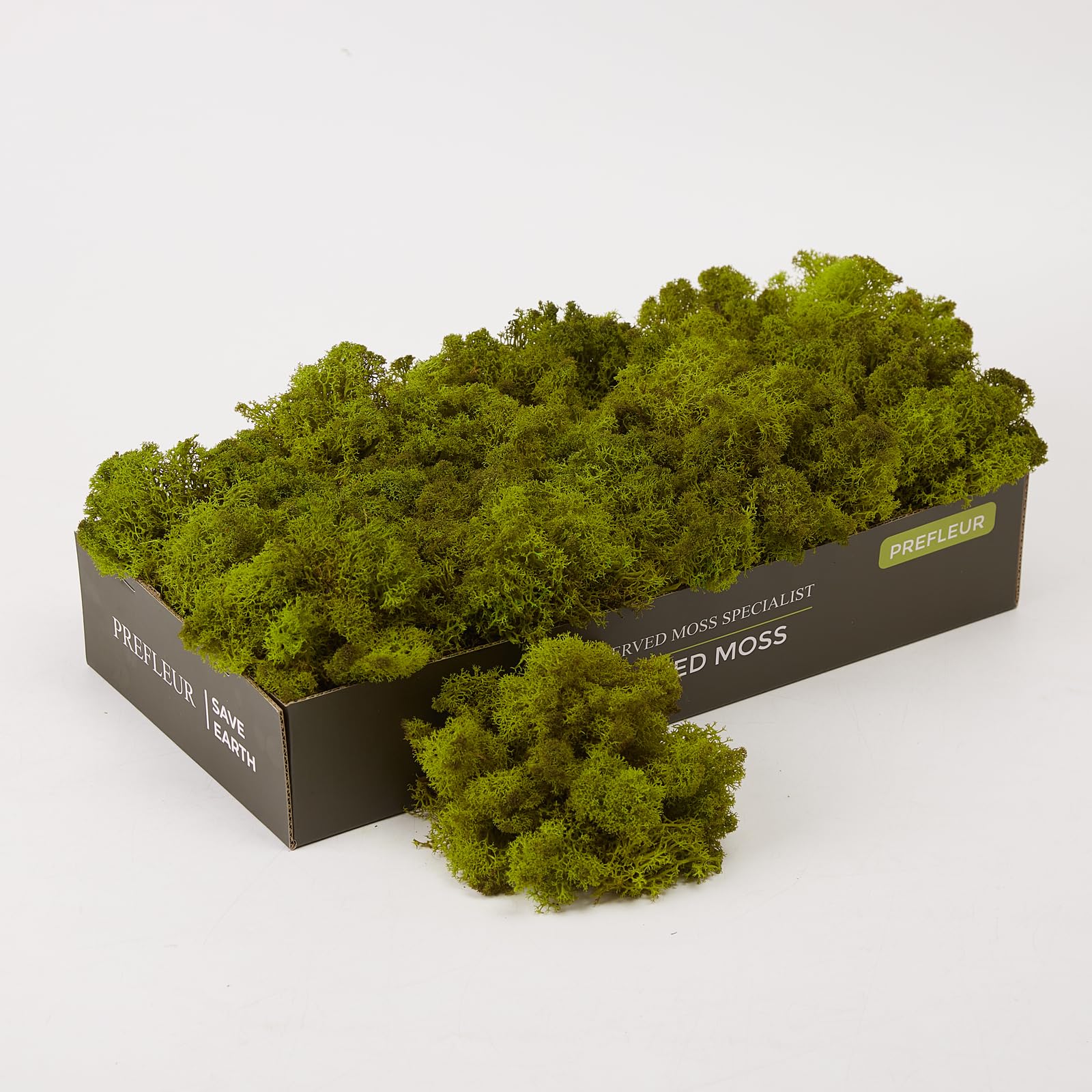 Preserved Reindeer Moss Natural Green DIY Kit Gardenning Art Wall Decor Florist Decor Easter Table Decor Wedding - color: Green-13, size: 0.85 lb